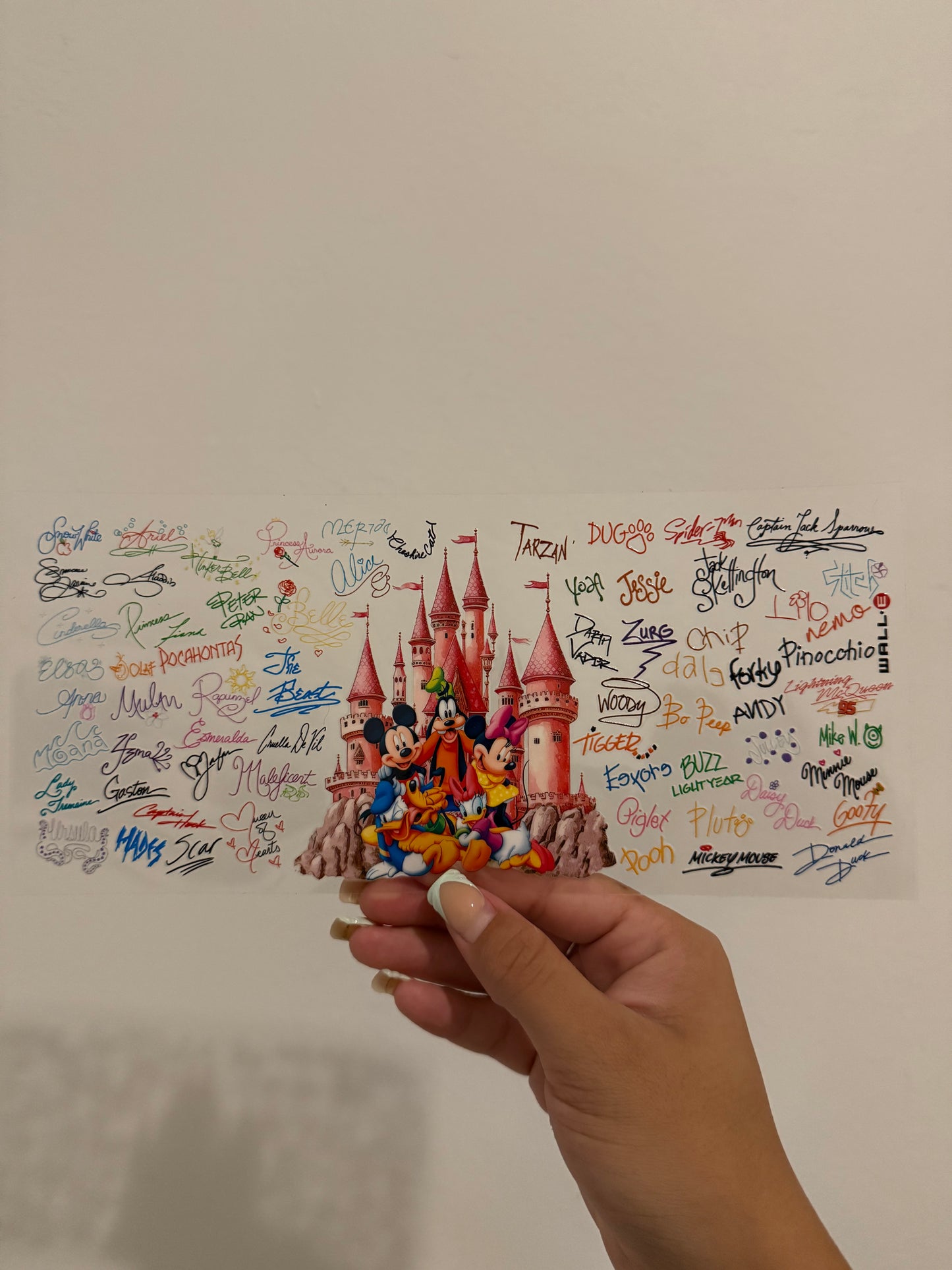 Mickey castle wrap