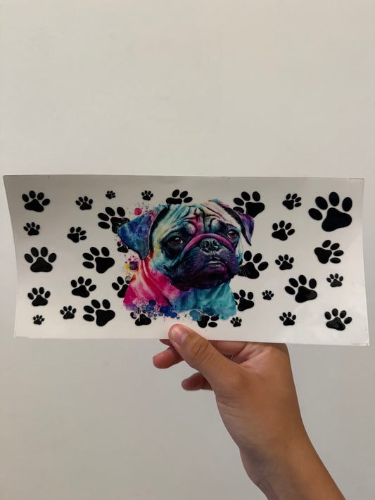 Colorful pug paws wrap
