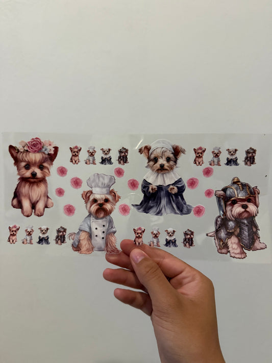 Yorkies in outfits wraps