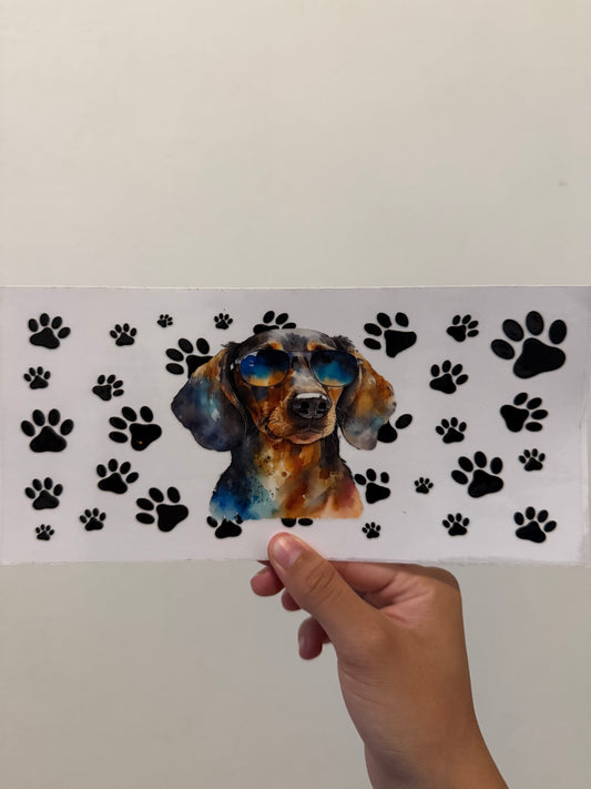 Dachshund in sunglasses wrap