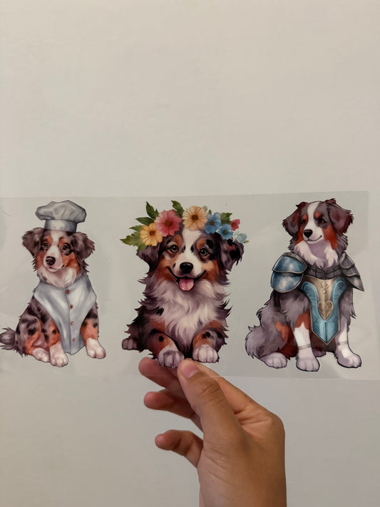 Australian shepherd wrap