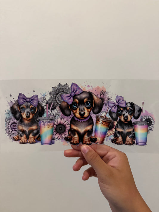Colorful dachshund wrap
