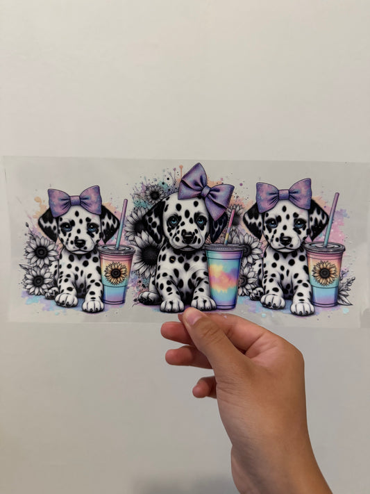 Dalmatian colorful wrap