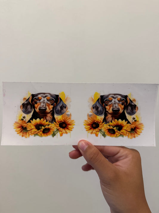 Black Dachshund sunflower wrap
